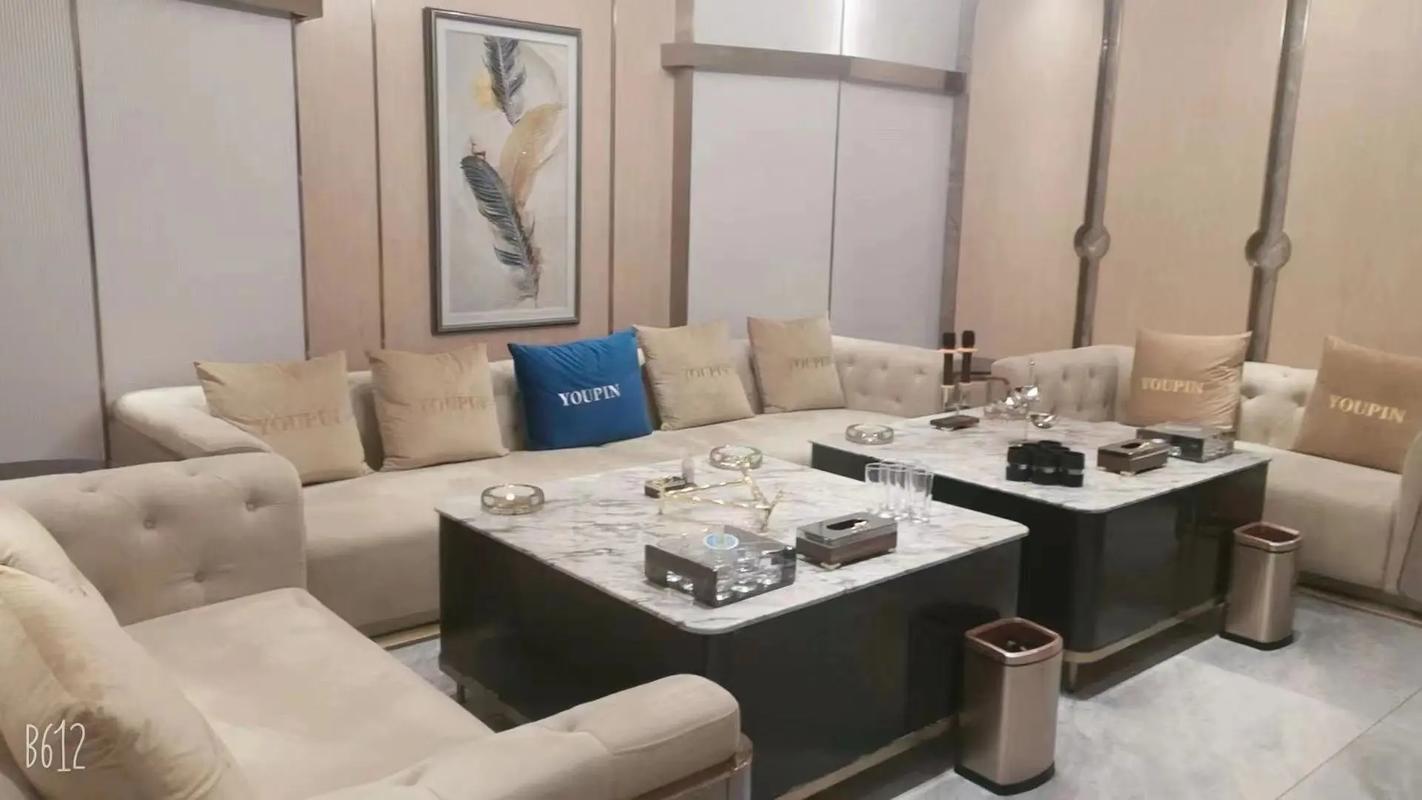 驻马店商务ktv预算划算选择指南-平舆县ktv预订